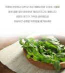 NOKCHAWON Lemon Balm Herbal Tea 60 Tea Bag Pyramid Tea Bag Large Capacity - EmpressKorea