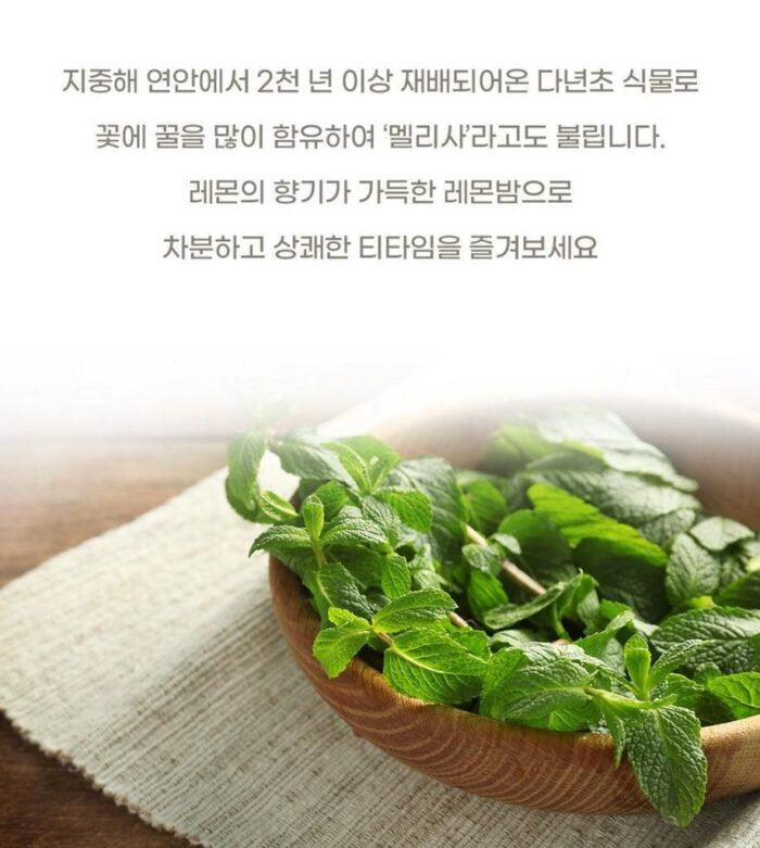 NOKCHAWON Lemon Balm Herbal Tea 60 Tea Bag Pyramid Tea Bag Large Capacity - EmpressKorea