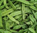 NOK CHA WON Korean Sword Bean Tea Green Bean Tea Large Capacity 60 Tea Bag Pyramid Tea Bag - EmpressKorea
