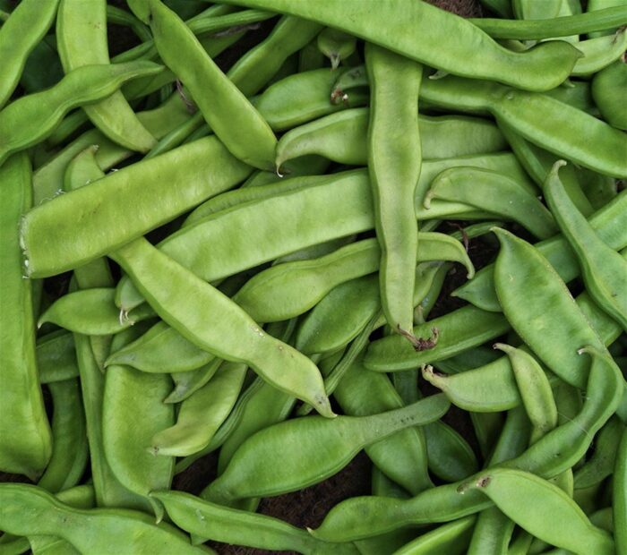 NOK CHA WON Korean Sword Bean Tea Green Bean Tea Large Capacity 60 Tea Bag Pyramid Tea Bag - EmpressKorea