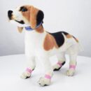 Natress Dog Disposable Walking Shoes 80pcs - EmpressKorea