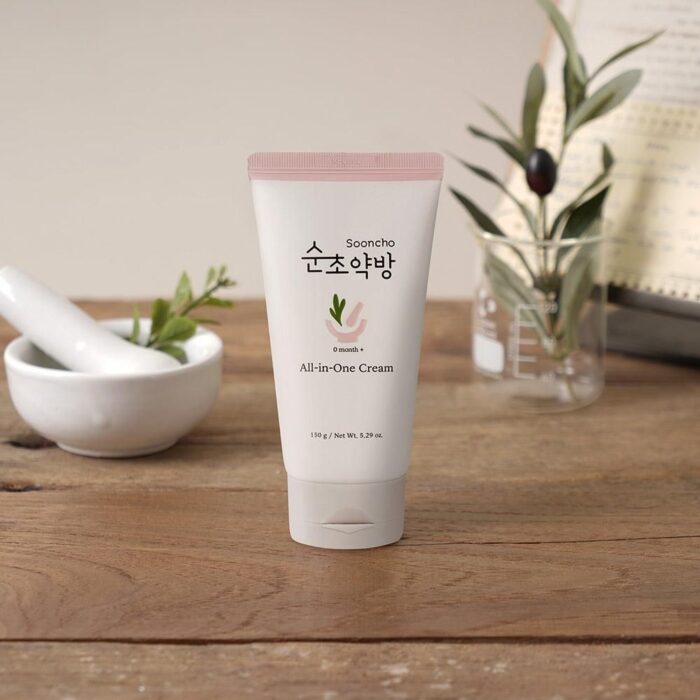 New Origin Sooncho All-in-One Cream 150g - EmpressKorea