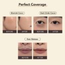 OBgE Scene Steal Concealer (2 Colors) 5g - EmpressKorea