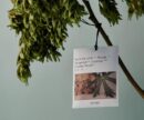 OHSCENT  Perfume Sachets - EmpressKorea