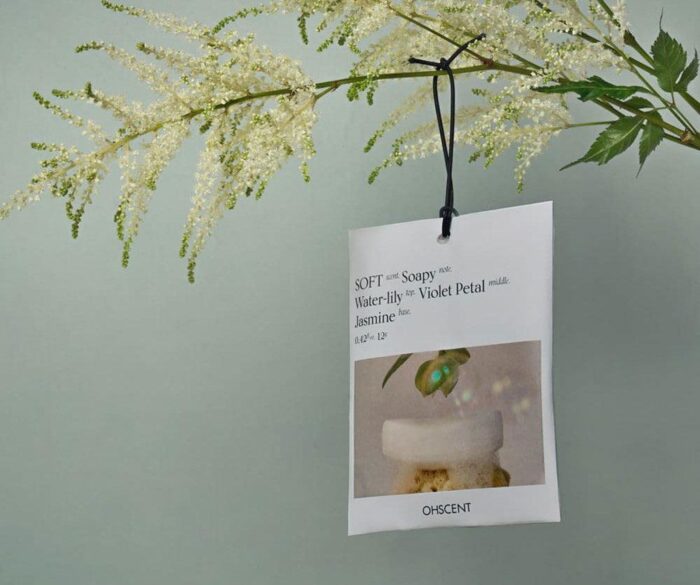 OHSCENT  Perfume Sachets - EmpressKorea