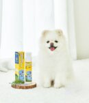 PETHROOM Dog Outcare Shield Spray 100ml - EmpressKorea