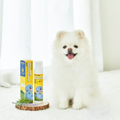 PETHROOM Dog Outcare Shield Spray 100ml - EmpressKorea