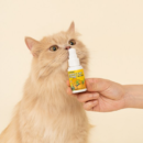 PETHROOM Happy Cat Spray 2.0 30ml - EmpressKorea