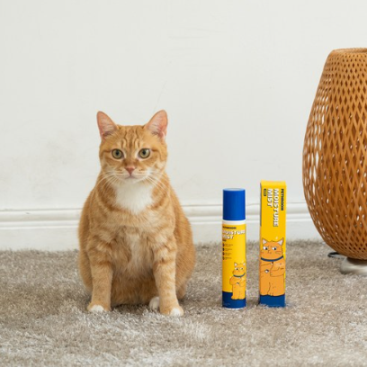 PETHROOM Moisture Mist Cats 150ml - EmpressKorea