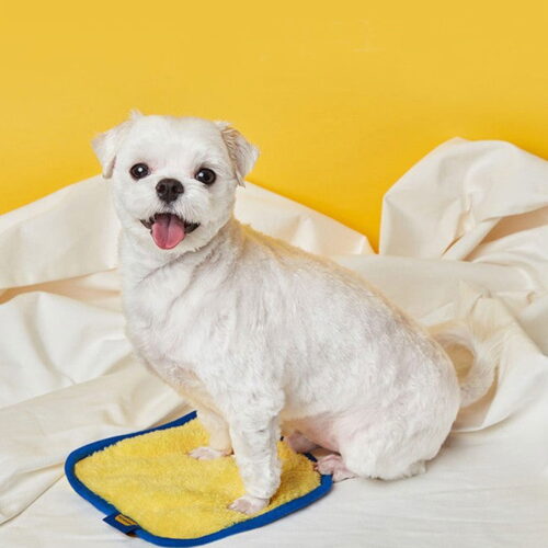 PETHROOM Sponge Towel S - EmpressKorea