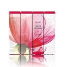 PETITFÉE Super Volume Lip Oil 3g - EmpressKorea
