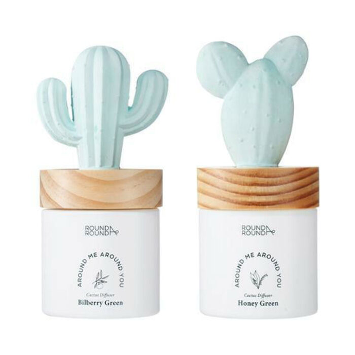 ROUND A'ROUND Cactus Diffuser 100ml - EmpressKorea