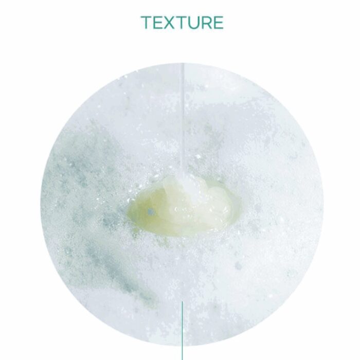 ROUND A'ROUND Green Tea Moisture Cleansing Foam 200ml - EmpressKorea
