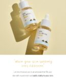 ROUND LAB 1025 Dokdo Firming Ampoule 30ml - EmpressKorea