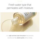 ROUND LAB 1025 Dokdo Firming Ampoule 30ml - EmpressKorea