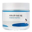 ROUND LAB BIRCH JUICE MOISTURIZING CREAM 80ml - EmpressKorea