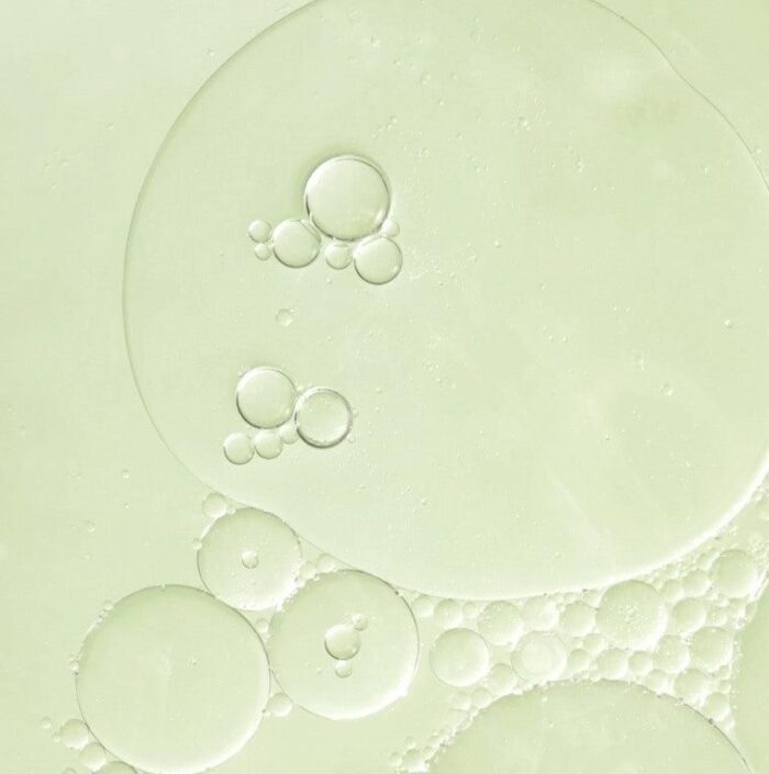 ROUND LAB Mugwort Calming Cleanser 150ml - EmpressKorea