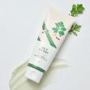 ROUND LAB Mugwort Calming Cleanser 150ml - EmpressKorea