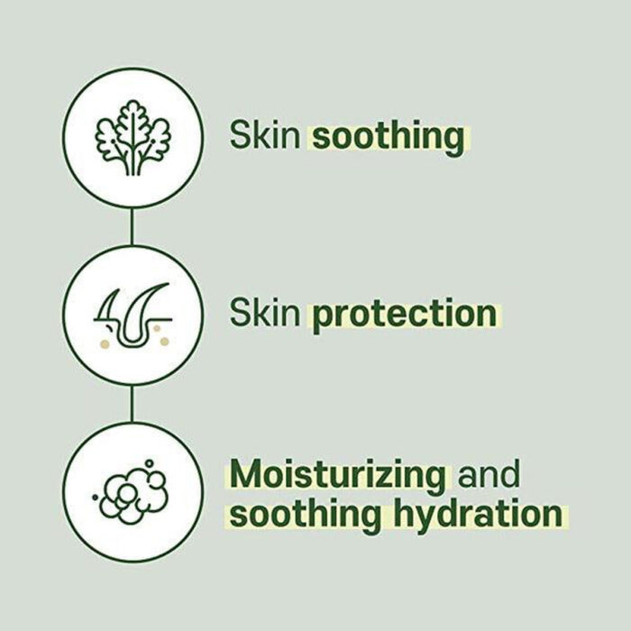 ROUND LAB Mugwort Calming Cleanser 150ml - EmpressKorea