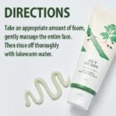 ROUND LAB Mugwort Calming Cleanser 150ml - EmpressKorea