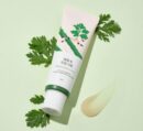 ROUND LAB Mugwort Calming Cream 50ml - EmpressKorea