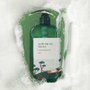 ROUND LAB Pine Tree Cica Soothing Body Wash 400mL - EmpressKorea