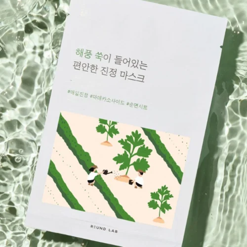 ROUND LAB Sea Breeze Mugwort Soothing Mask 25ml*10 - EmpressKorea