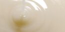ROUND LAB Soybean Serum 50ml - EmpressKorea