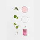 ROVECTIN Cica Care Clearing Ampoule 30ml - EmpressKorea