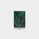 RyeoWook - 3rd Mini Album: A Wild Rose - EmpressKorea