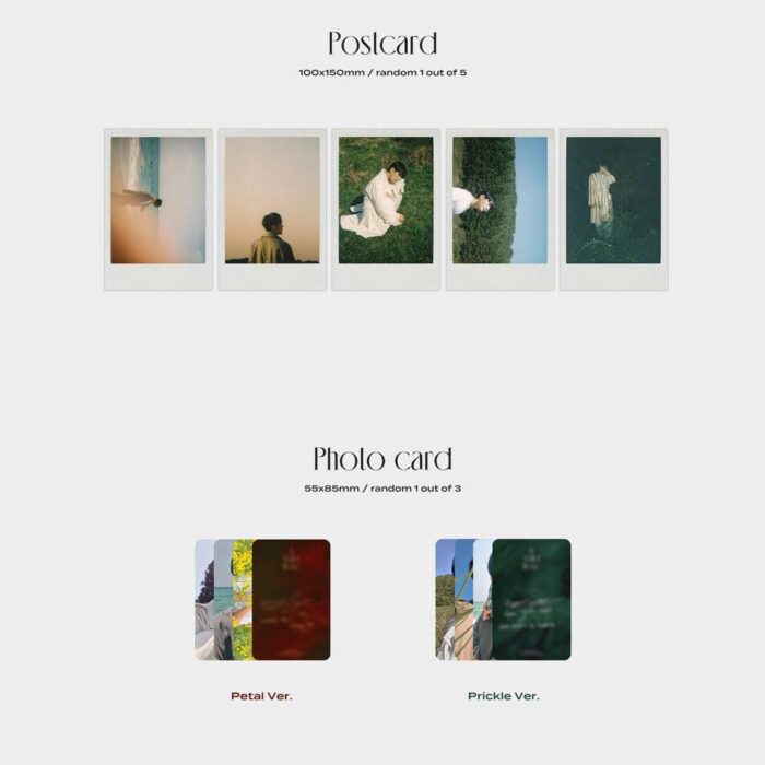 RyeoWook - 3rd Mini Album: A Wild Rose - EmpressKorea