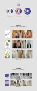 SEVENTEEN - 8th Mini Album: YOUR CHOICE - EmpressKorea