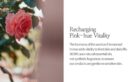 SIORIS Falling Into The Rose Mist 100ml - EmpressKorea
