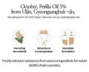 SIORIS More Than Lip Balm 4g - EmpressKorea