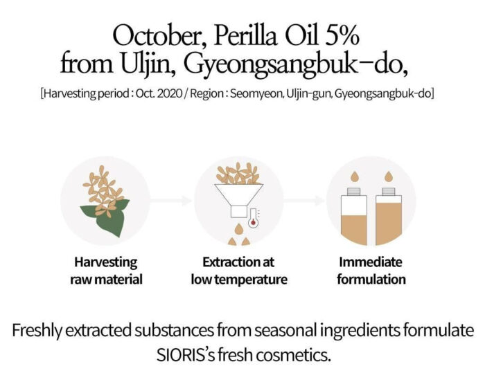 SIORIS More Than Lip Balm 4g - EmpressKorea