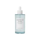 SKIN1004 Madagascar Centella Hyalu-Cica First Ampoule 100ml - EmpressKorea