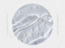 SKIN1004 Madagascar Centella Tone Brightening Cleansing Gel Foam 125ml - EmpressKorea
