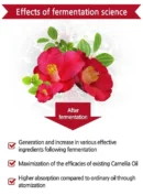 SKINEYE natural camellia japonica seed oil 100 20ml - EmpressKorea