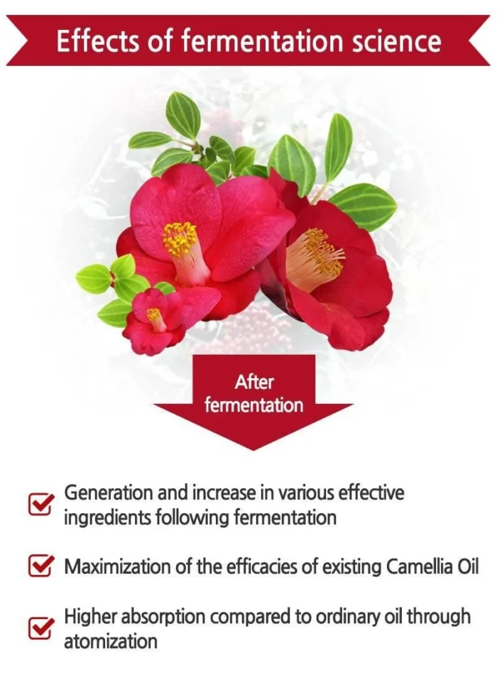 SKINEYE natural camellia japonica seed oil 100 20ml - EmpressKorea