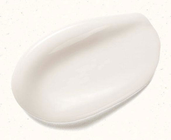 SKINFOOD Acorn Pore Peptide Cream 70ml - EmpressKorea