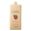 SKINFOOD Carrot Carotene Moist Effector 52ml - EmpressKorea