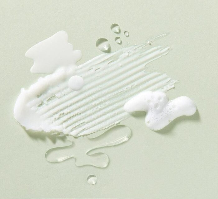 SKINFOOD Garden Bean Gentle Gel Foam Cleanser 200ml - EmpressKorea