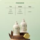 SKINFOOD Lemon Verbena Body Wash 450ml - EmpressKorea