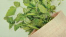 SKINFOOD Pantothenic Water Parsley Mild Foam 150ml - EmpressKorea