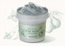 SKINFOOD Pear Mint Food Mask 120g - EmpressKorea