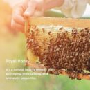 SKINFOOD Royal Honey Propolis Enrich Cream Mist 120ml - EmpressKorea