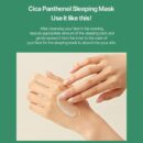 SNP Cica Panthenol Sleeping Mask 80ml - EmpressKorea
