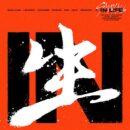 STRAY KIDS-1st Regular Album repackage IN生 (IN LIFE) [Regular edition] [Random delivery] - EmpressKorea
