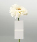 TAMBURINS Perfume Balm Berga Sandal 6.5g - EmpressKorea