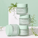 THE FACE SHOP Tea Tree Pore Cream 50ml - EmpressKorea